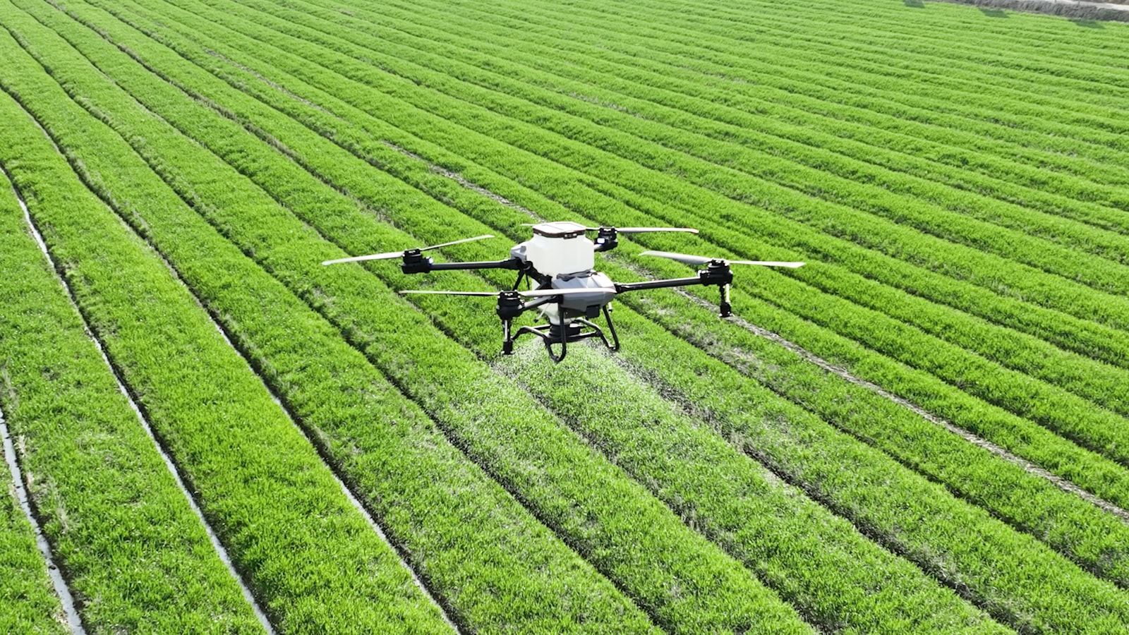 Drone agrícola sobrevolando un cultivo en hileras