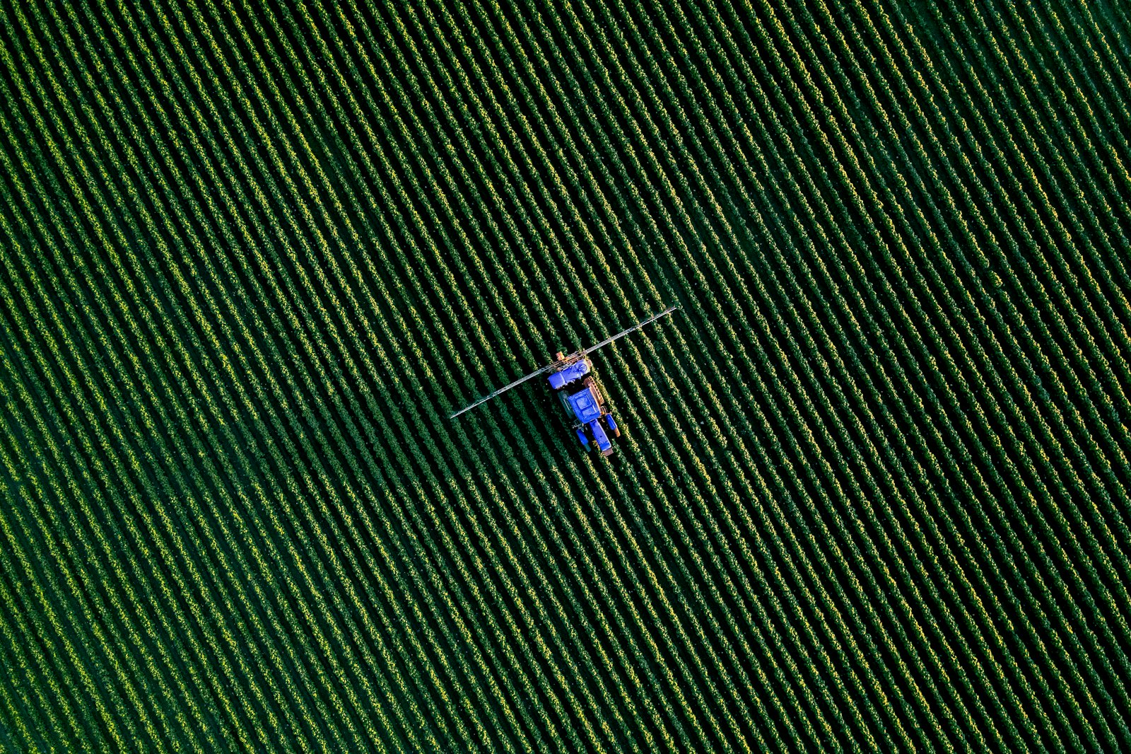 Vista aérea de pulverización dirigida sobre un cultivo