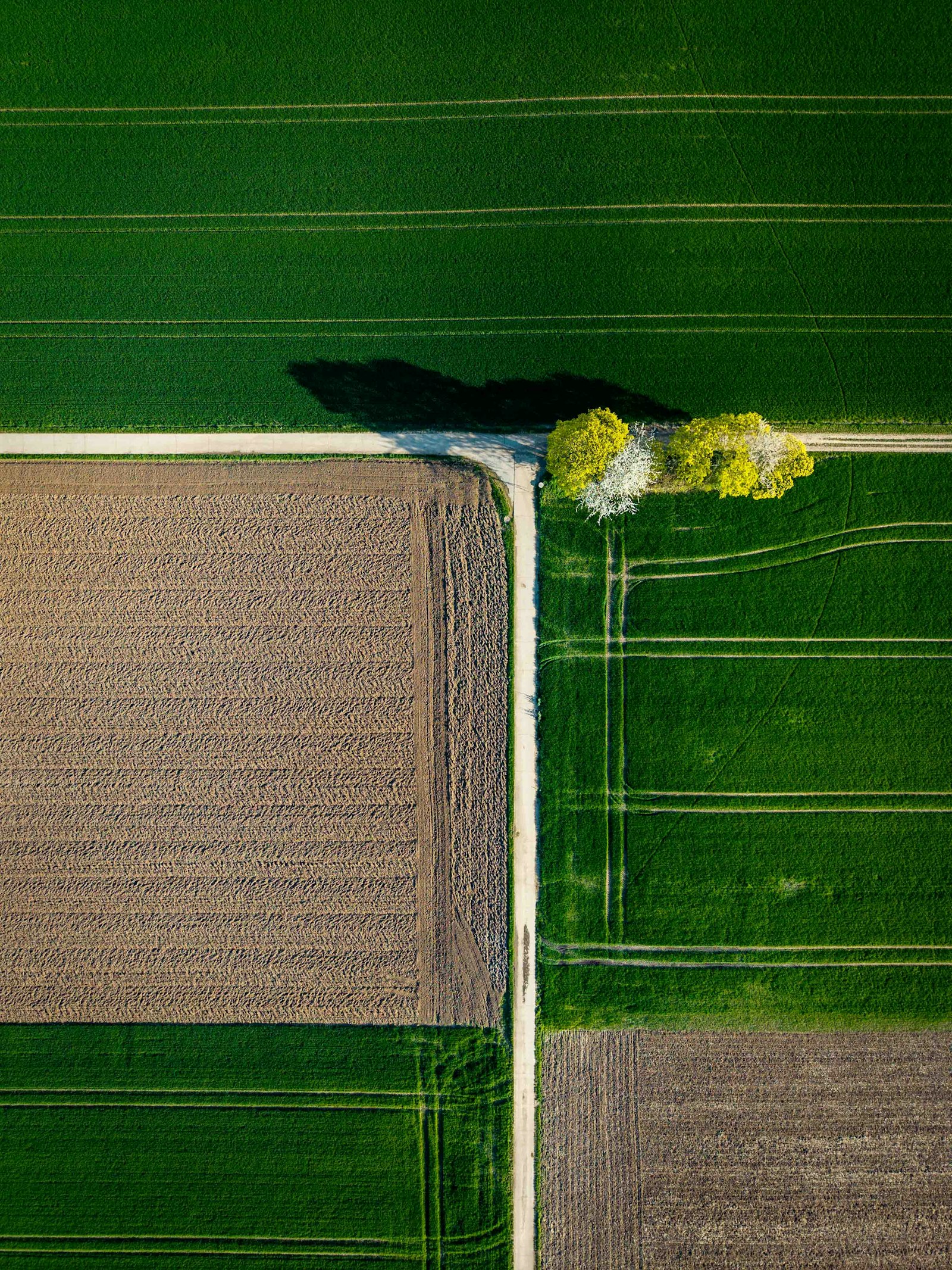 Vista aérea de mosaico de campos agrícolas